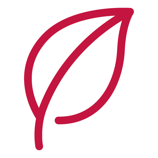 Natural Protein Sources Icon